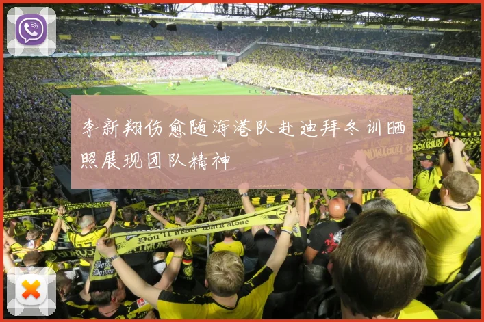 李新翔伤愈随海港队赴迪拜冬训晒照展现团队精神
