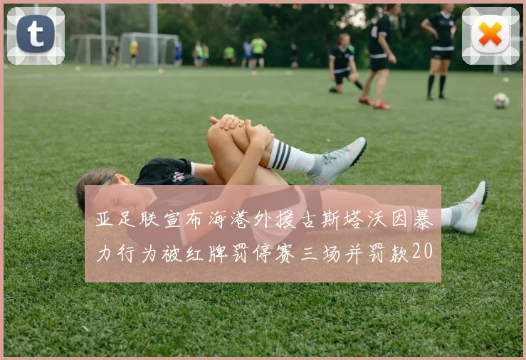 亚足联宣布海港外援古斯塔沃因暴力行为被红牌罚停赛三场并罚款2000美元