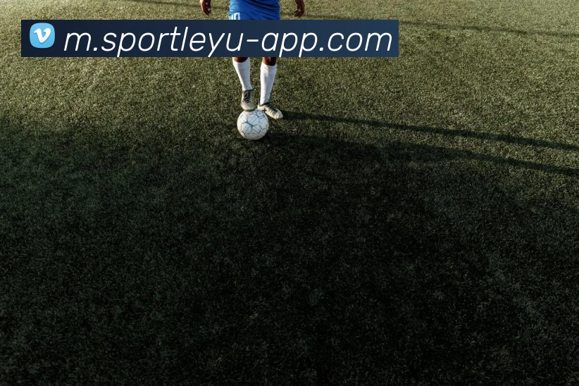 App Interface Preview