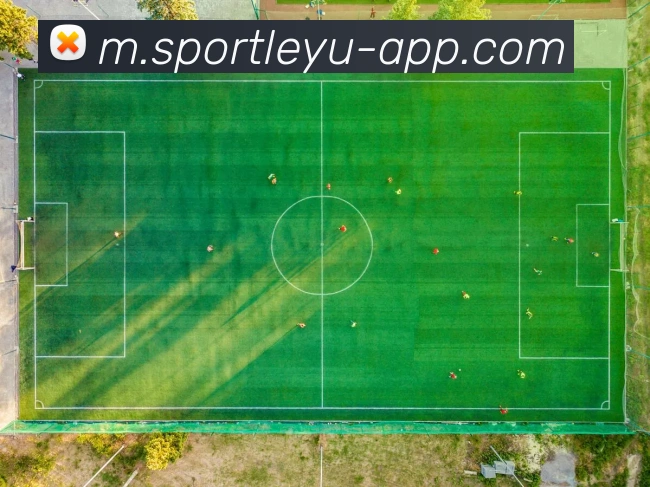 乐鱼体育APP 封面图